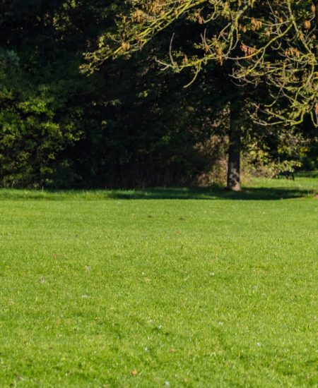 City park, autumn, Munich, Germany. View of a mature couple walking on the grass, website banner
