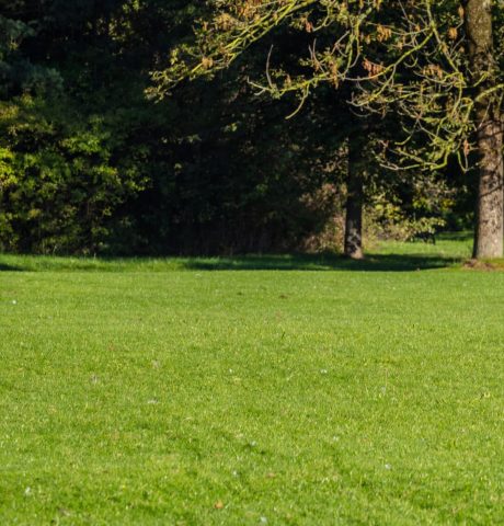 City park, autumn, Munich, Germany. View of a mature couple walking on the grass, website banner