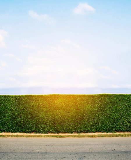 Ornamental fence with the blue sky.